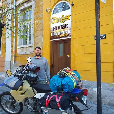 Ginger House Vandrehjem Plovdiv Eksteriør billede