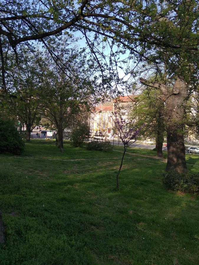 Ginger House Vandrehjem Plovdiv Eksteriør billede